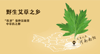 艾草越嫩越好，還是越久越好？悄悄告訴你：艾草這樣用，效果最好！