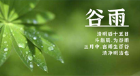 【二十四節(jié)氣灸】谷雨時節(jié)，用艾為您的健康加上一道保險！