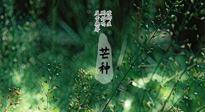 【二十四節(jié)氣灸】芒種節(jié)氣，培土補(bǔ)脾、養(yǎng)陰生津！艾灸這些穴位事半功倍！