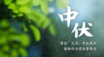 【三伏養(yǎng)生】至熱中伏，吃三樣，喝三樣，三大禁忌千萬別犯，小心落下病根！