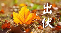 【三伏養(yǎng)生】出伏后做好養(yǎng)生很關鍵！一行要注意！
