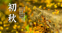 【艾灸知識】初秋，為冬季健康打基礎的時候到了，你準備好了嗎？