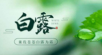 【二十四節(jié)氣灸】白露涼爽，養(yǎng)心肝脾胃、滋陰潤肺是關鍵！