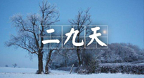 【三九養(yǎng)生】冬二九，扶陽補腎氣，讓你陽氣充足一整年！