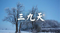 【三九養(yǎng)生】冬三九，三九第三灸，一年中最后艾灸黃金9天！