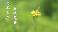 【九九養(yǎng)生】三月四日“九九日”，寒冬已過。春天養(yǎng)好身，全年不怕病！
