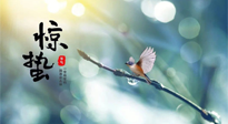 【二十四節(jié)氣灸】驚蟄節(jié)氣，艾灸喚醒抵抗力、補充陽氣的最好時機(jī)！