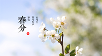 【二十四節(jié)氣灸】春分，平分了大地晝夜；艾灸，平衡了身體陰陽！