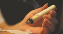 【艾灸知識(shí)】春暖花開(kāi)，衣衫漸薄，再不減肥，身上的肉肉可藏不住了！