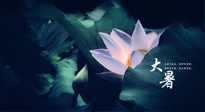 【二十四節(jié)氣灸】趁大暑好好艾灸，才不辜負(fù)三伏天的驕陽！