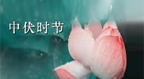 【艾灸三伏天】中伏：三伏灸的關(guān)鍵轉(zhuǎn)折點(diǎn)！“灸”除病根的大好時(shí)機(jī)！