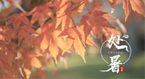 【二十四節(jié)氣灸】處暑，冬病夏治倒計(jì)時(shí)！秋涼真的要來(lái)了！