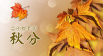 【二十四節(jié)氣灸】秋分節(jié)氣，平衡陰陽，巧用艾灸，潤燥養(yǎng)肺是關(guān)鍵！