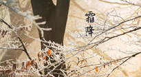 【二十四節(jié)氣灸】霜降節(jié)氣：艾灸四穴，護您冬天安然無恙！