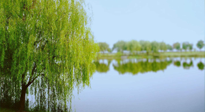 【艾灸知識】春三月，必艾灸穴位：疏肝理氣，養(yǎng)血調(diào)神！