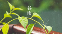 【二十四節(jié)氣灸】谷雨節(jié)氣脾土濕，艾灸降濕濁，脾旺不受邪！