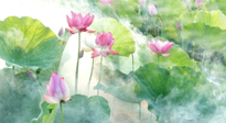 【養(yǎng)生知識(shí)】花開半夏，夏至養(yǎng)生，這些知識(shí)一定要牢記！
