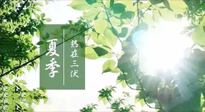 【艾灸三伏天】今年三伏不一般，仙草小助理建議大家早作準備哦！