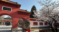 【行業(yè)資訊】新華財經(jīng)：守正創(chuàng)新，中醫(yī)藥品牌化發(fā)展“更上一層樓”！