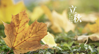 【節(jié)氣養(yǎng)生】甲辰立秋，“2做”、“2不做”，護(hù)好我們身體的正氣，預(yù)防外邪的侵襲！