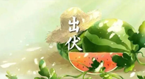 【艾灸三伏天】出伏后記得堅(jiān)持艾灸，伏后固本，做好至關(guān)重要的最后一步！
