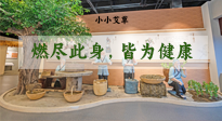【艾草知識(shí)】小小艾草，渾身是寶，一生燃盡此身，皆為健康！