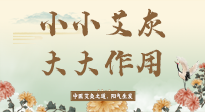 【艾草知識(shí)】艾灰真是個(gè)巨好用的東西，?它的神奇功效，你知道多少？
